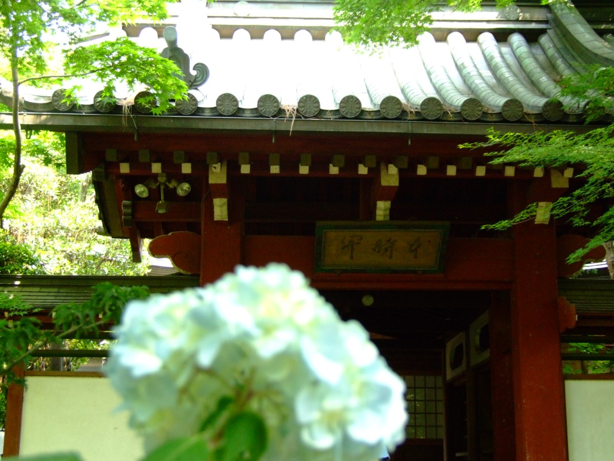 撮影・風景写真・本土寺