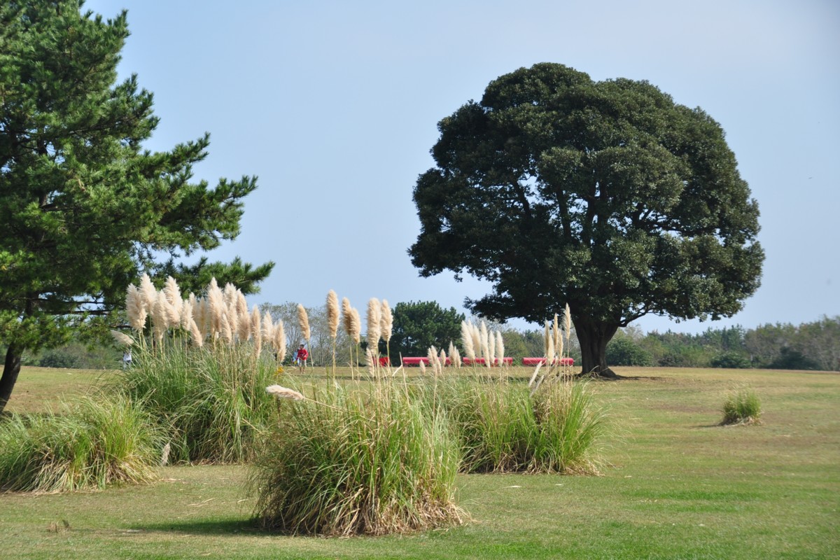 撮影・風景写真・ひたち海浜公園