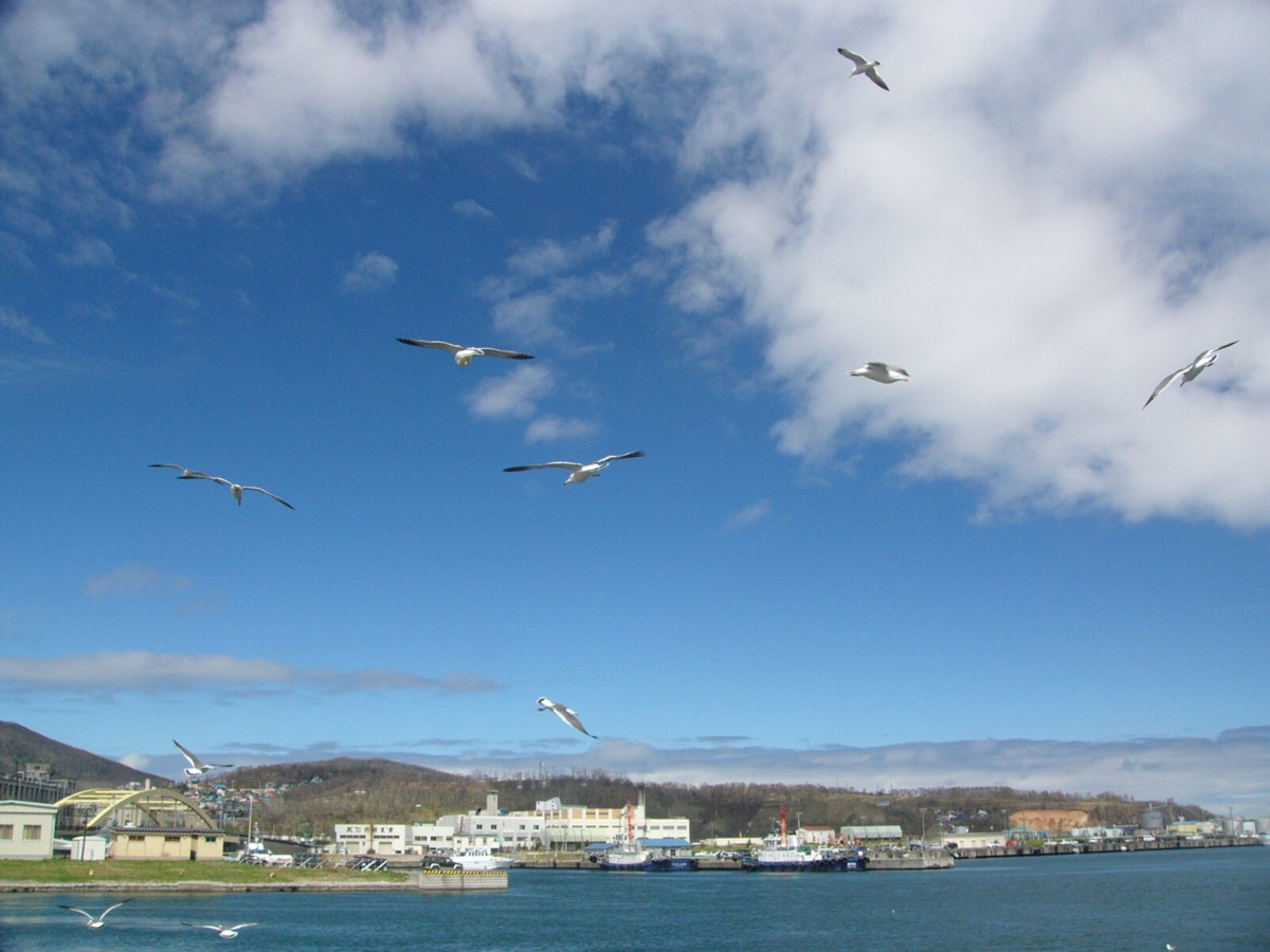 撮影・風景写真・小樽港
