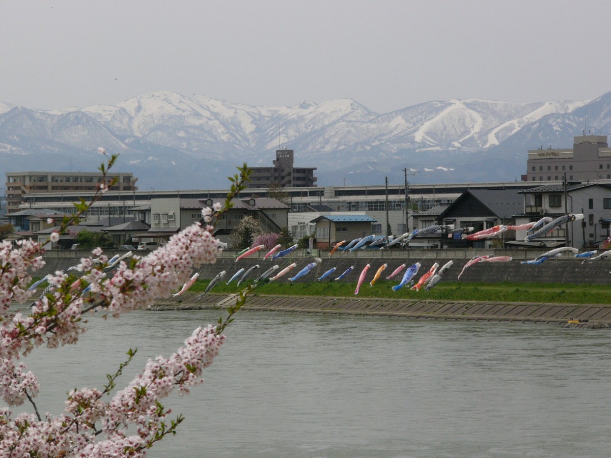 撮影・風景写真・桜・北上展勝地