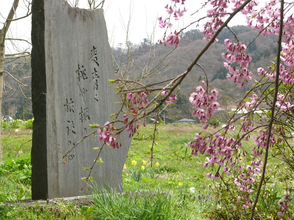 撮影・風景写真・桜・北上展勝地