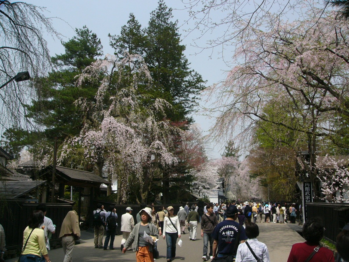 撮影・風景写真・桜・角館