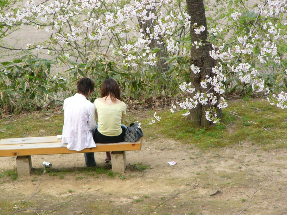 撮影・風景写真・桜・千秋公園