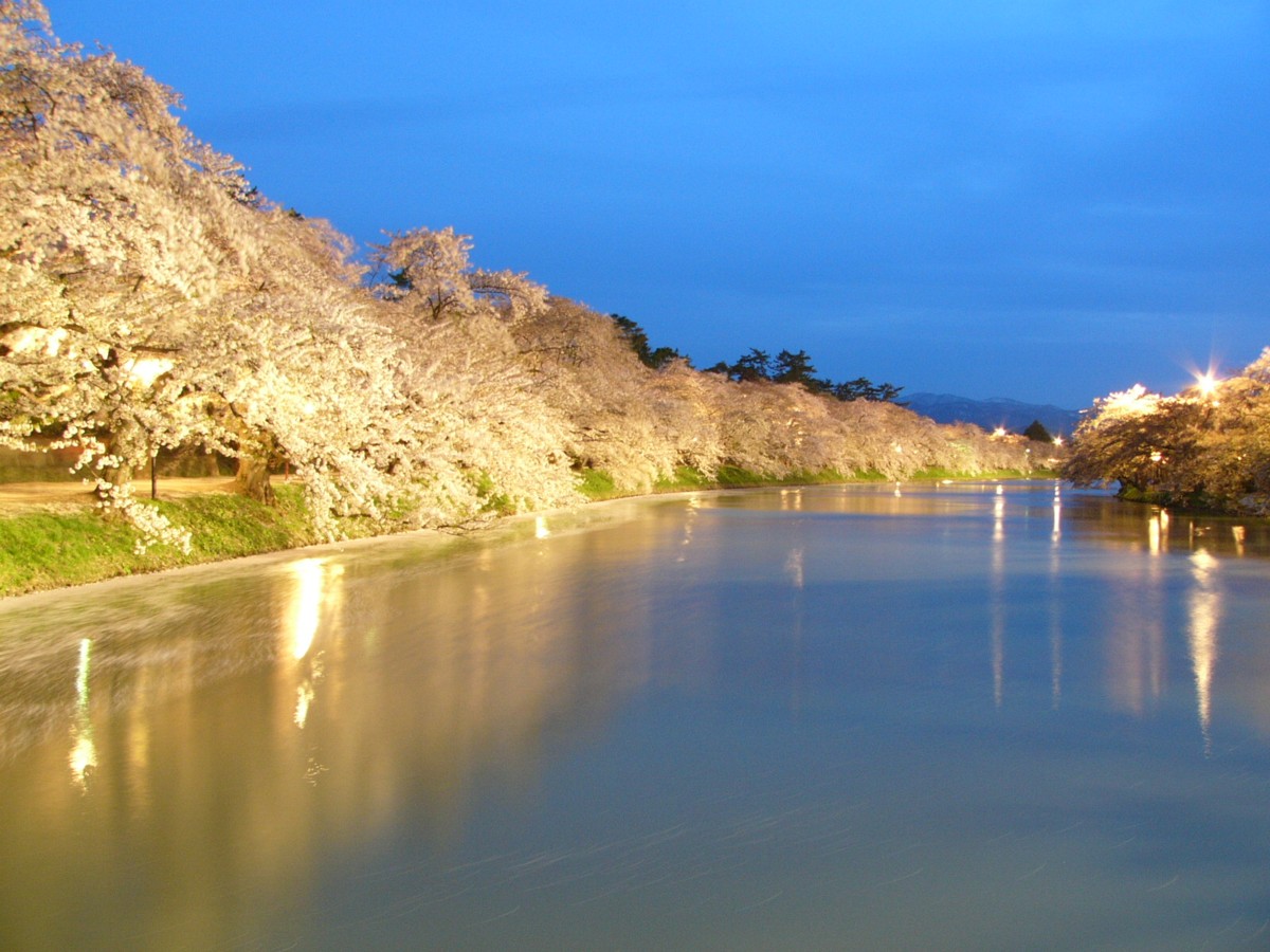 撮影・風景写真・桜・弘前城公園