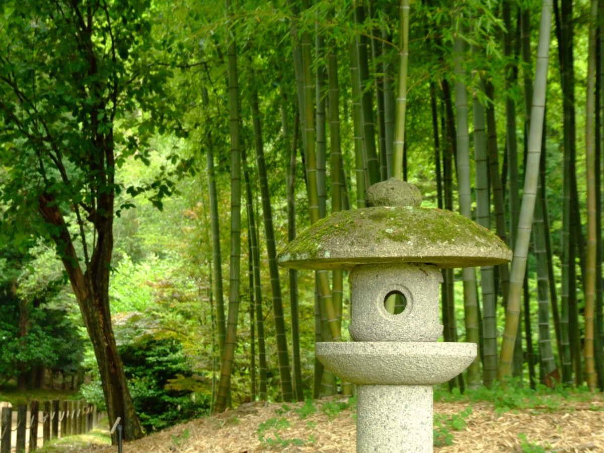 撮影・風景写真・岡山後楽園