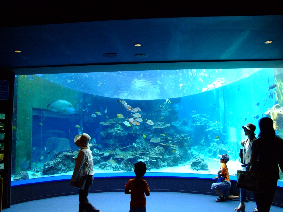 撮影・風景写真・美ら海水族館