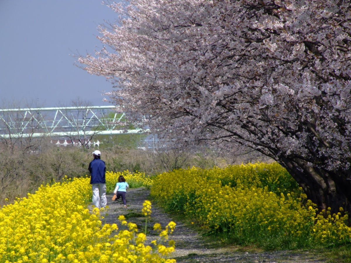 撮影・風景写真・岡山後楽園