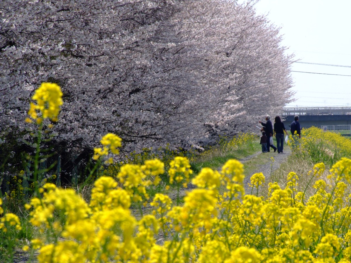 撮影・風景写真・岡山後楽園