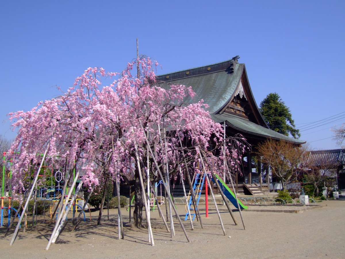 撮影・風景写真・岡山後楽園