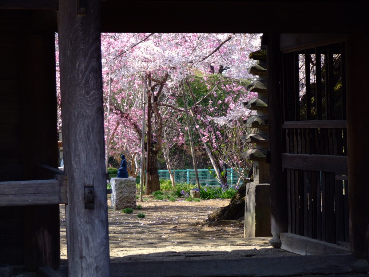 撮影・風景写真・岡山後楽園