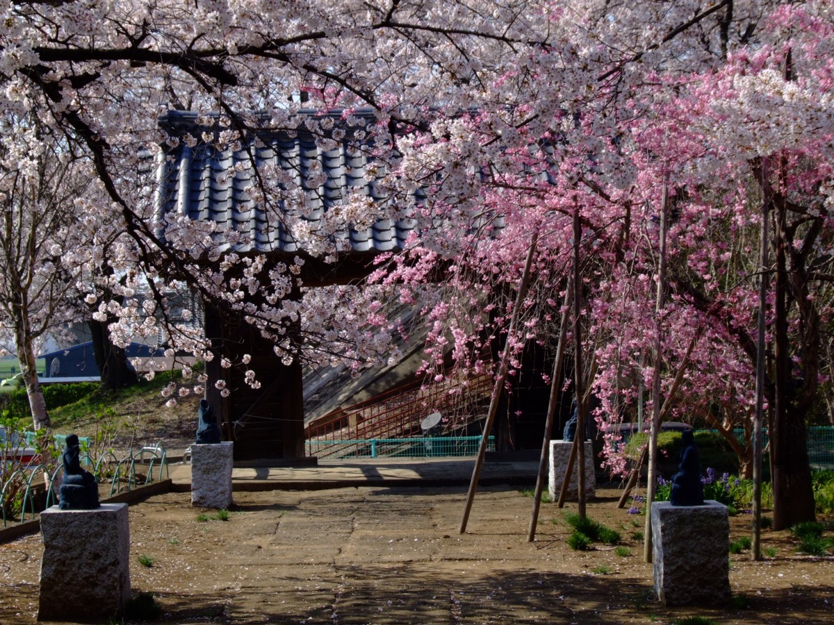撮影・風景写真・岡山後楽園