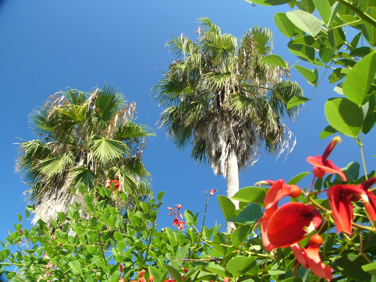 撮影・風景写真・瀬戸内