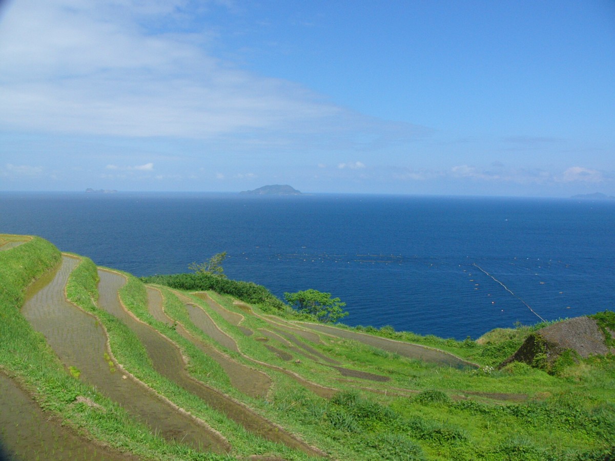 撮影・風景写真・新井の千枚田