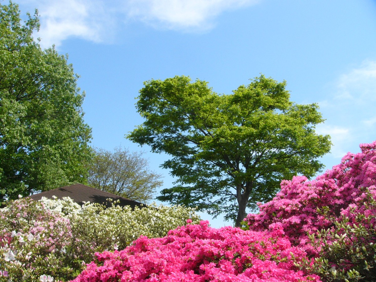 撮影・風景写真・館林