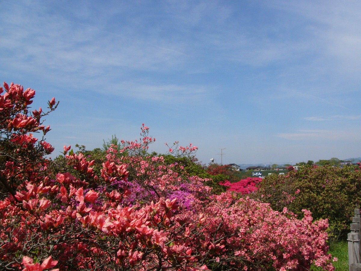 撮影・風景写真・館林