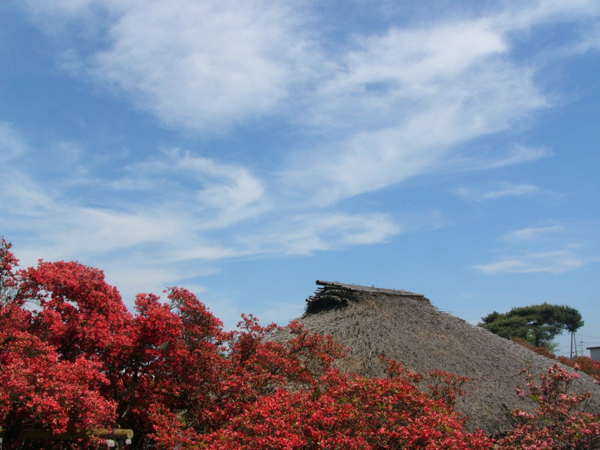 撮影・風景写真・館林