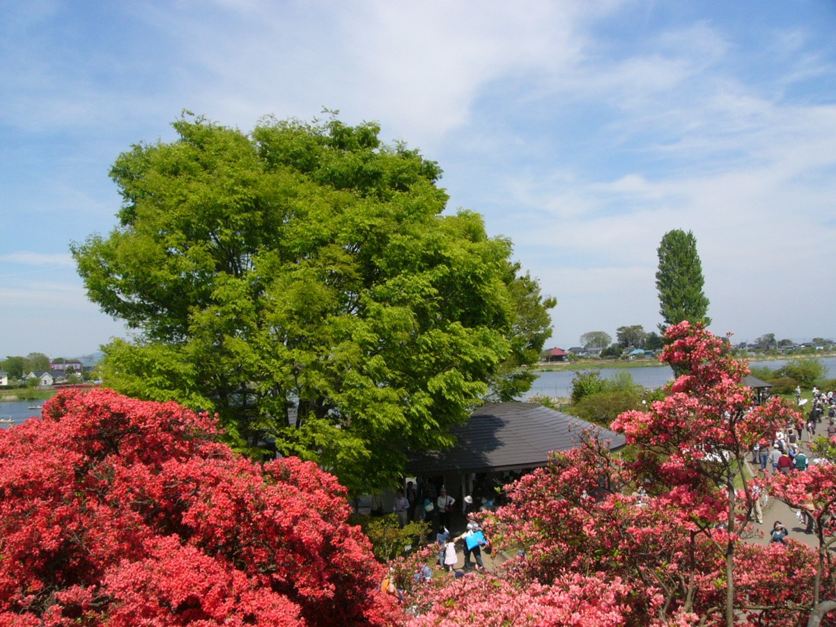 撮影・風景写真・館林