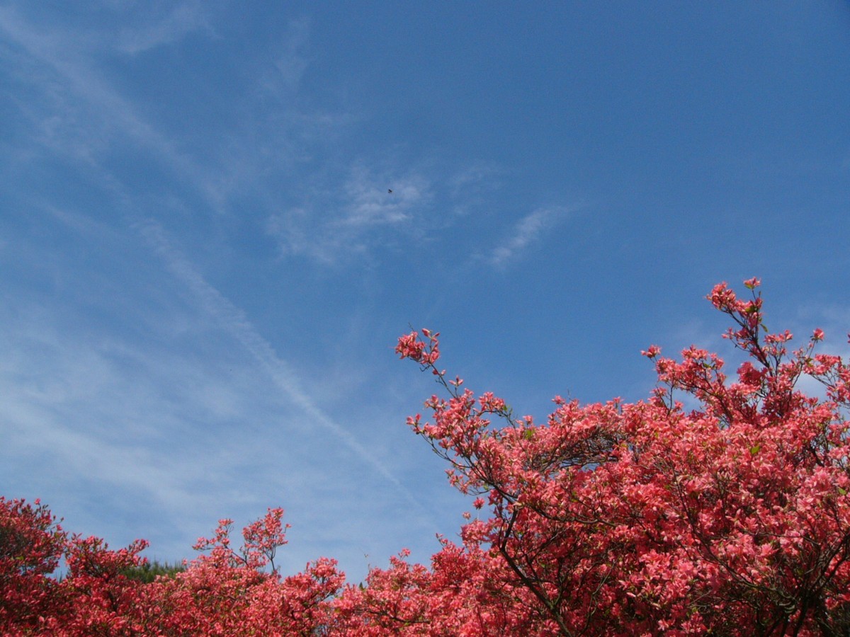 撮影・風景写真・館林