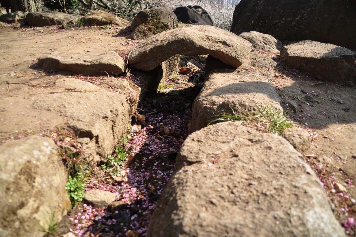 撮影・風景写真・筑波山梅まつり