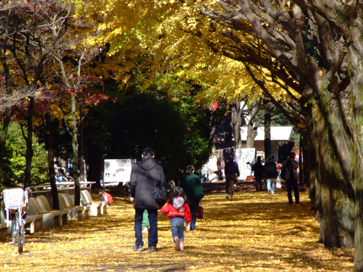 撮影・風景写真・紅葉・光ヶ丘公園