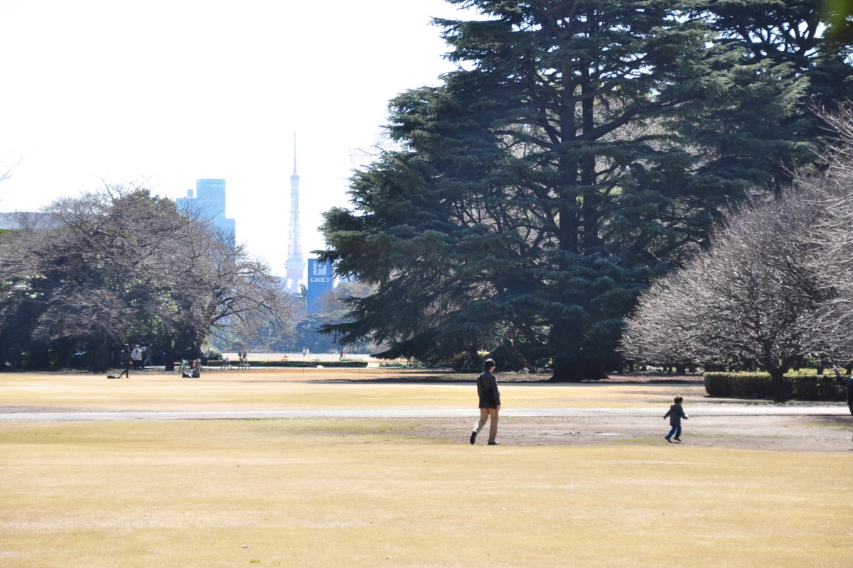 撮影・風景写真・新宿御苑