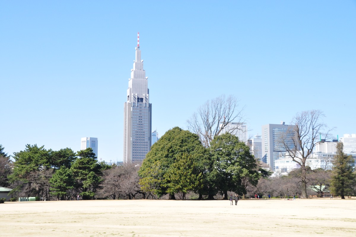 撮影・風景写真・新宿御苑