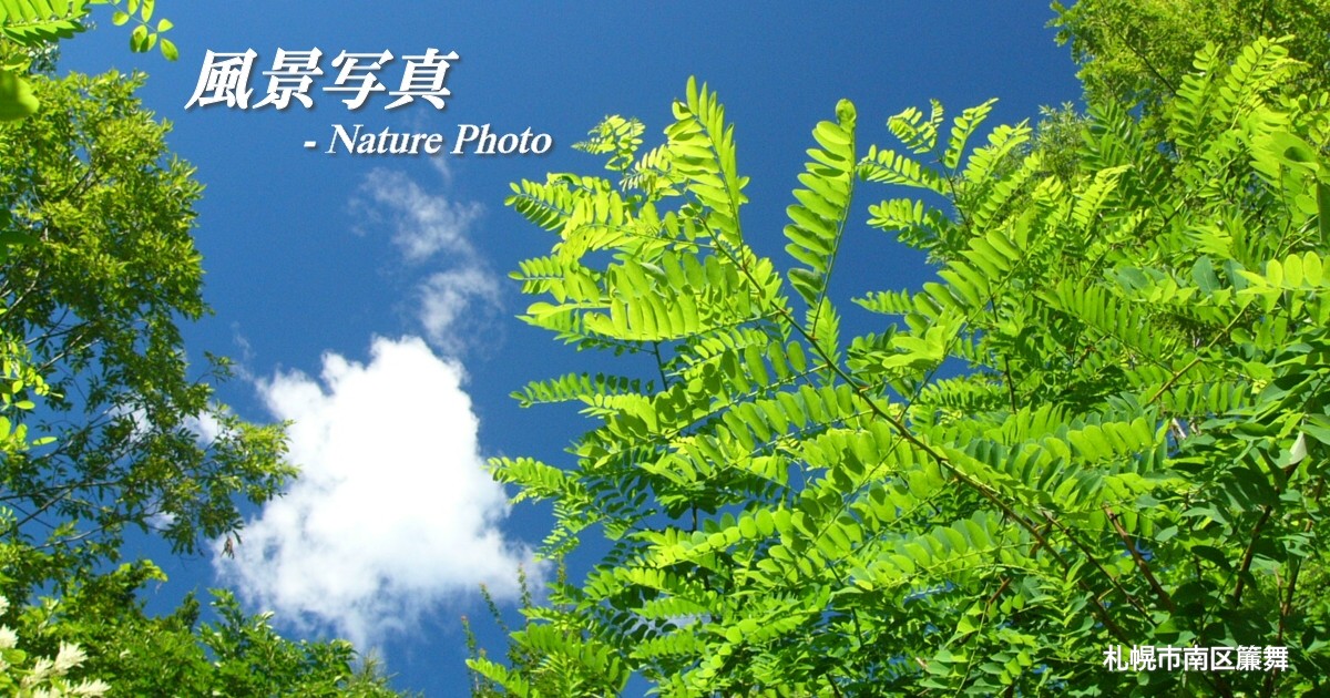 bracing world-風景写真