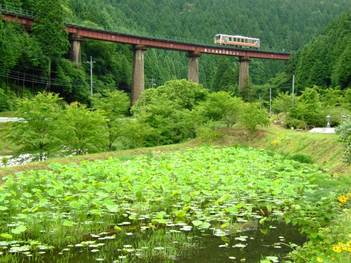 撮影・芸備線・備後落合－道後山