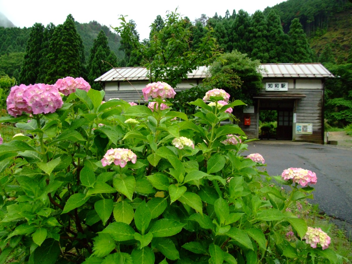 撮影・因美線・知和