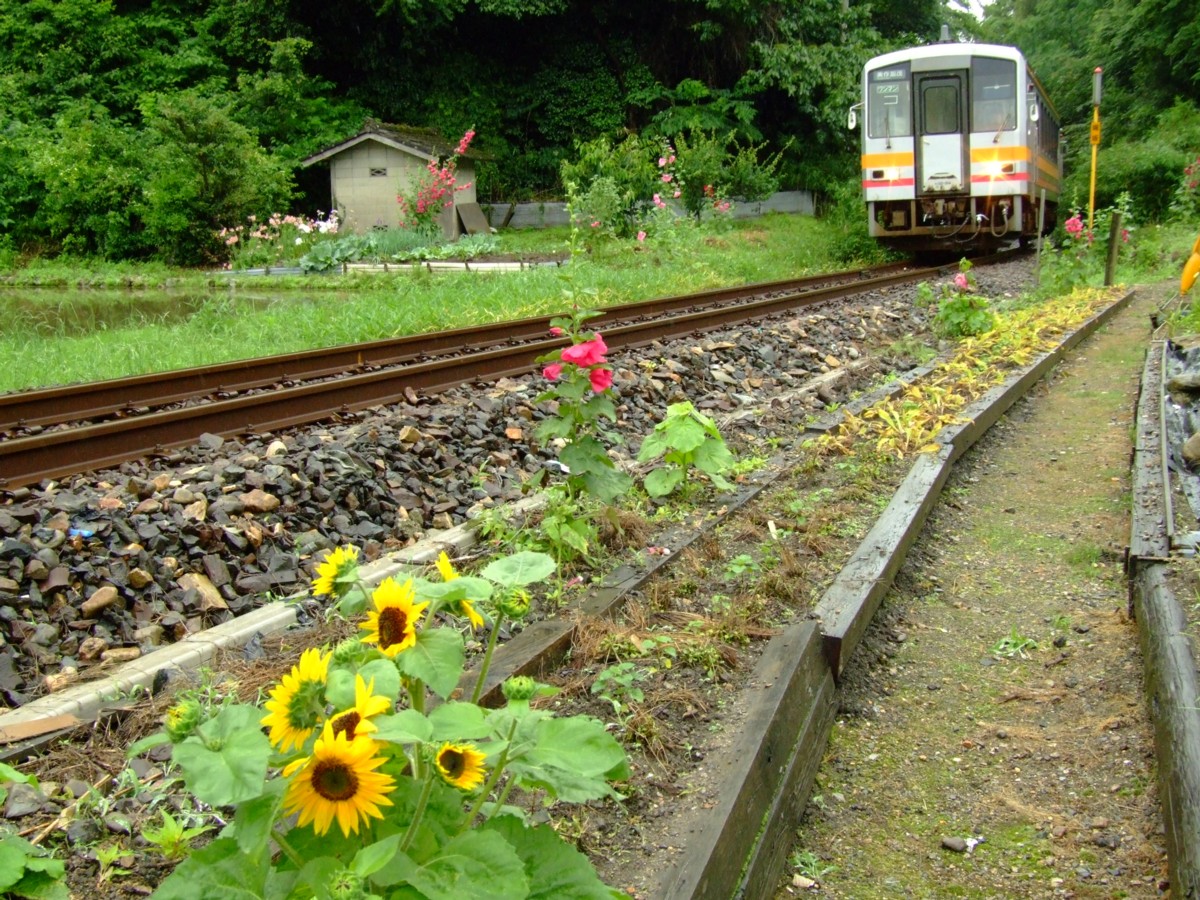 撮影・因美線・美作滝尾－三浦