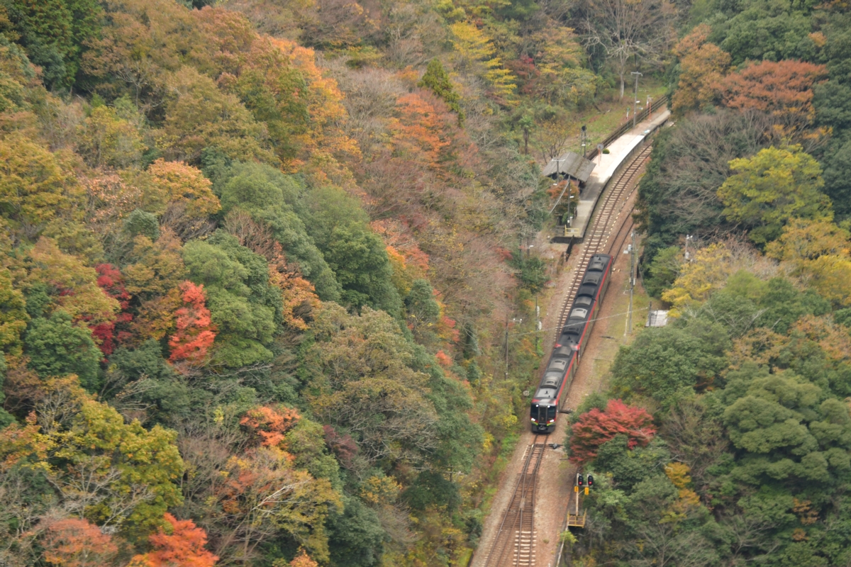 鉄道写真・紅葉・撮影地：土讃線・坪尻