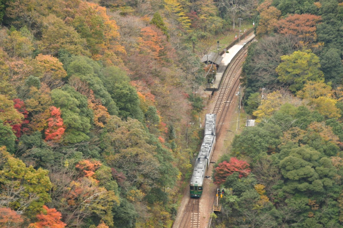 鉄道写真・紅葉・撮影地：土讃線・坪尻