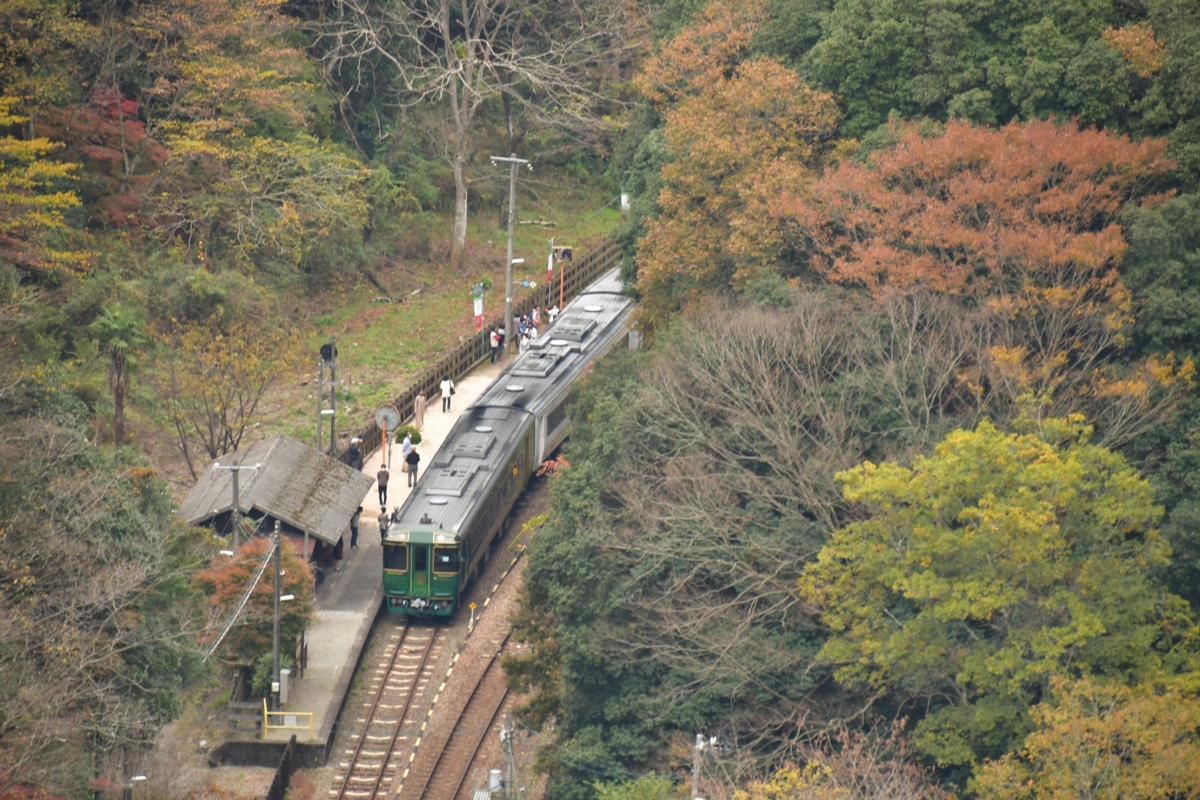 鉄道写真・紅葉・撮影地：土讃線・坪尻