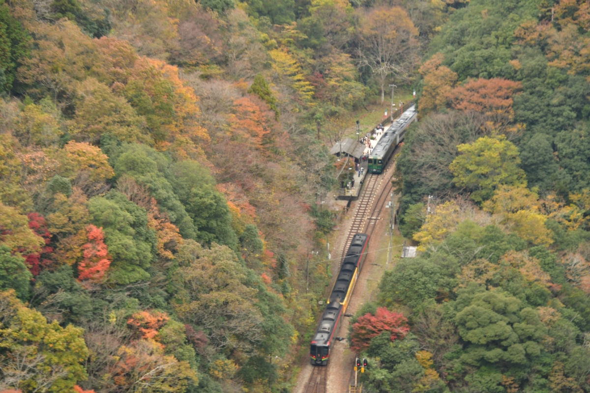 鉄道写真・紅葉・撮影地：土讃線・坪尻