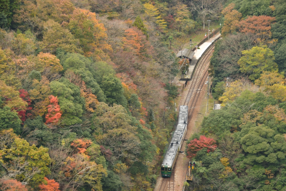 鉄道写真・紅葉・撮影地：土讃線・坪尻