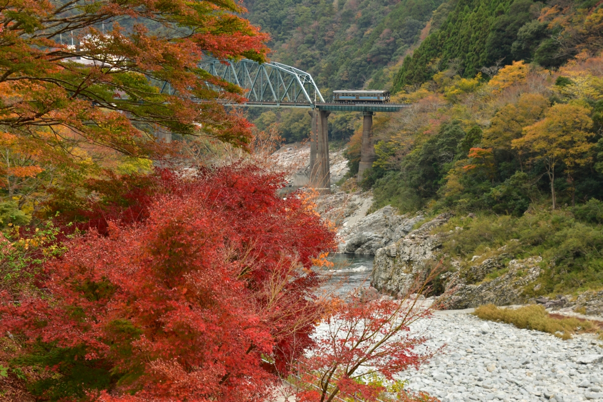 鉄道写真・紅葉・撮影地：土讃線・小歩危－大歩危