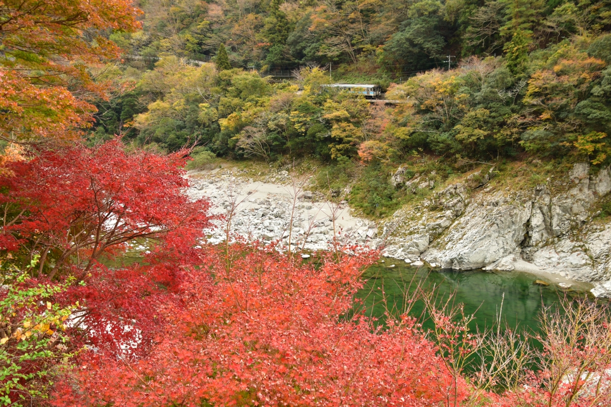 鉄道写真・紅葉・撮影地：土讃線・小歩危－大歩危