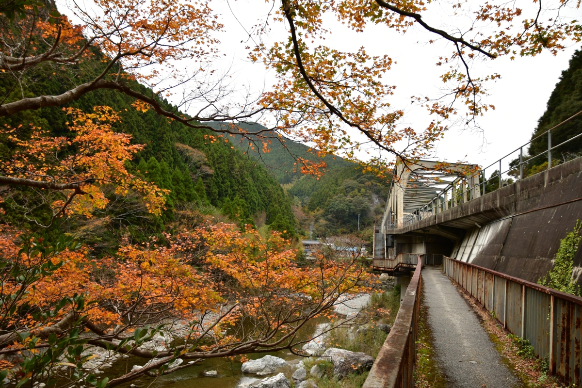 鉄道写真・紅葉・撮影地：土讃線・土佐北川