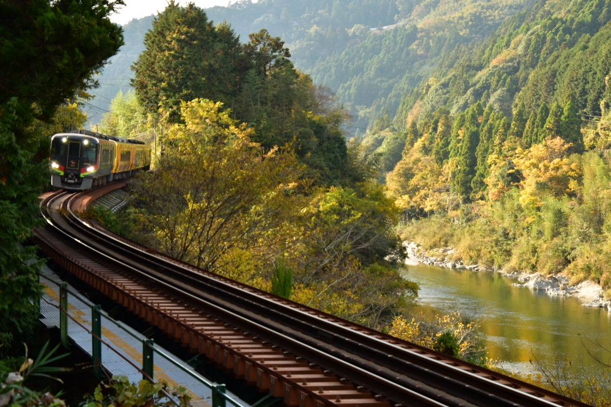 鉄道写真・紅葉・撮影地：土讃線・豊永－大田口