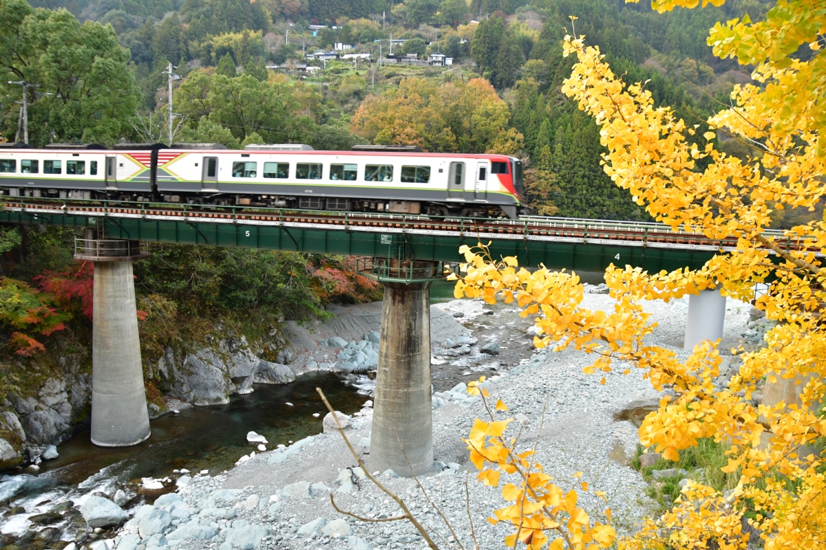 鉄道写真・紅葉・撮影地：土讃線・豊永