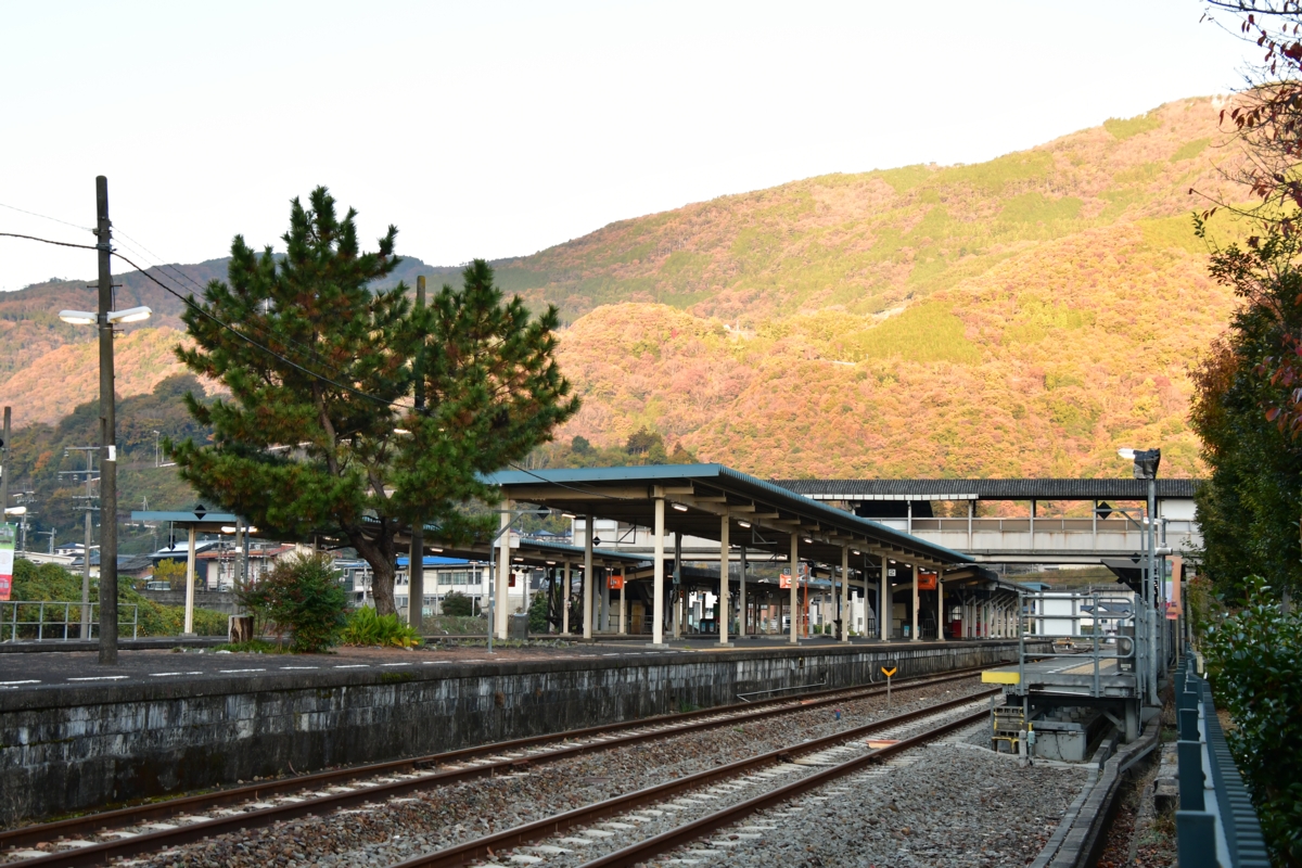 鉄道写真・紅葉・撮影地：土讃線・阿波池田