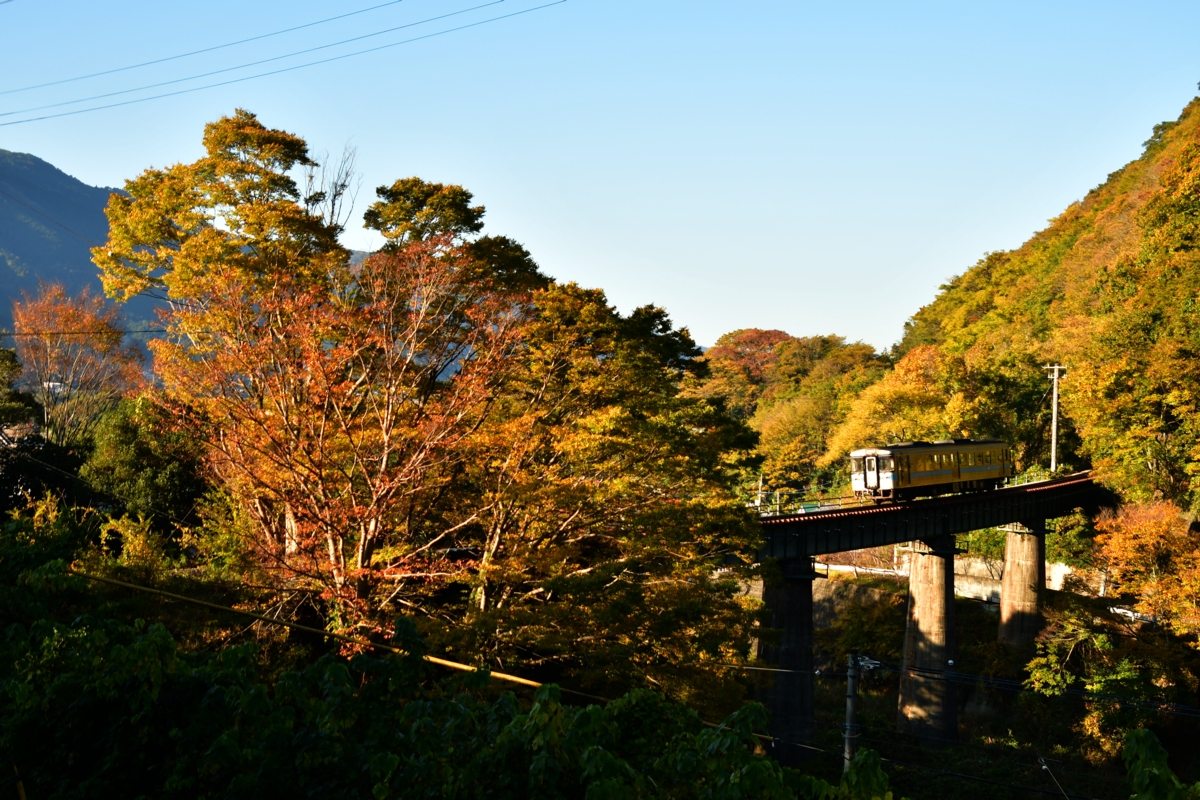 鉄道写真・紅葉・撮影地：土讃線・箸蔵－佃