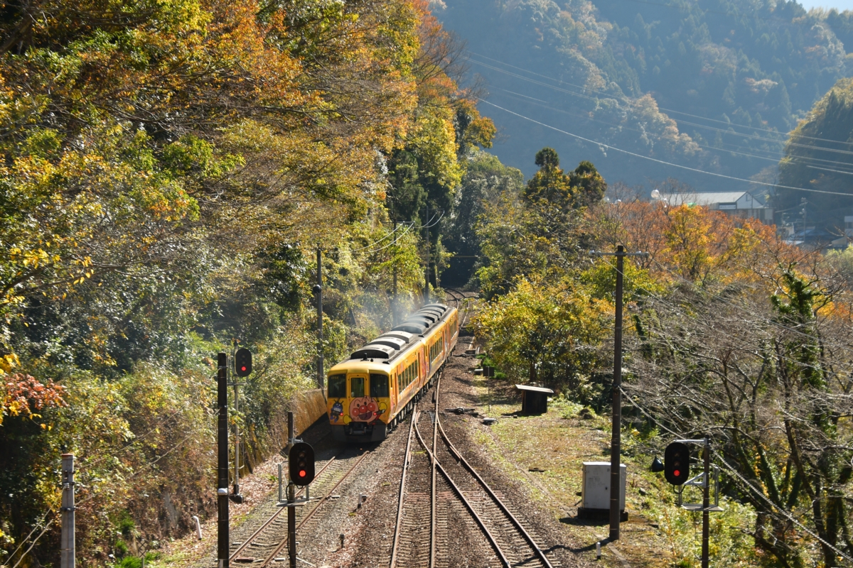 鉄道写真・紅葉・撮影地：土讃線・大歩危