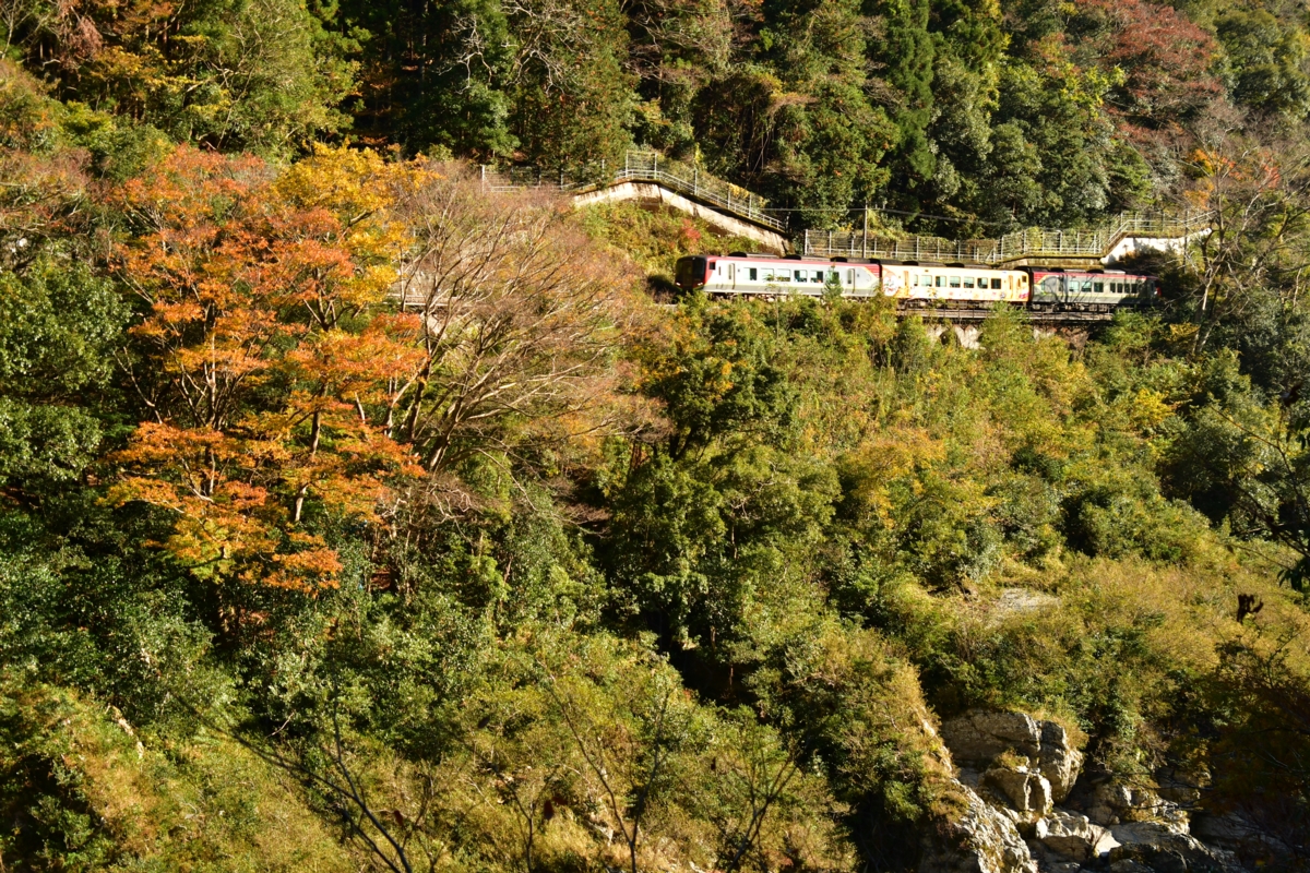 鉄道写真・紅葉・撮影地：土讃線・小歩危－大歩危