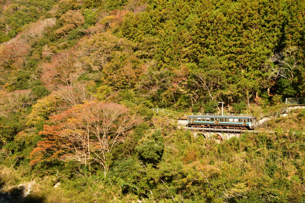 鉄道写真・紅葉・撮影地：土讃線・小歩危－大歩危