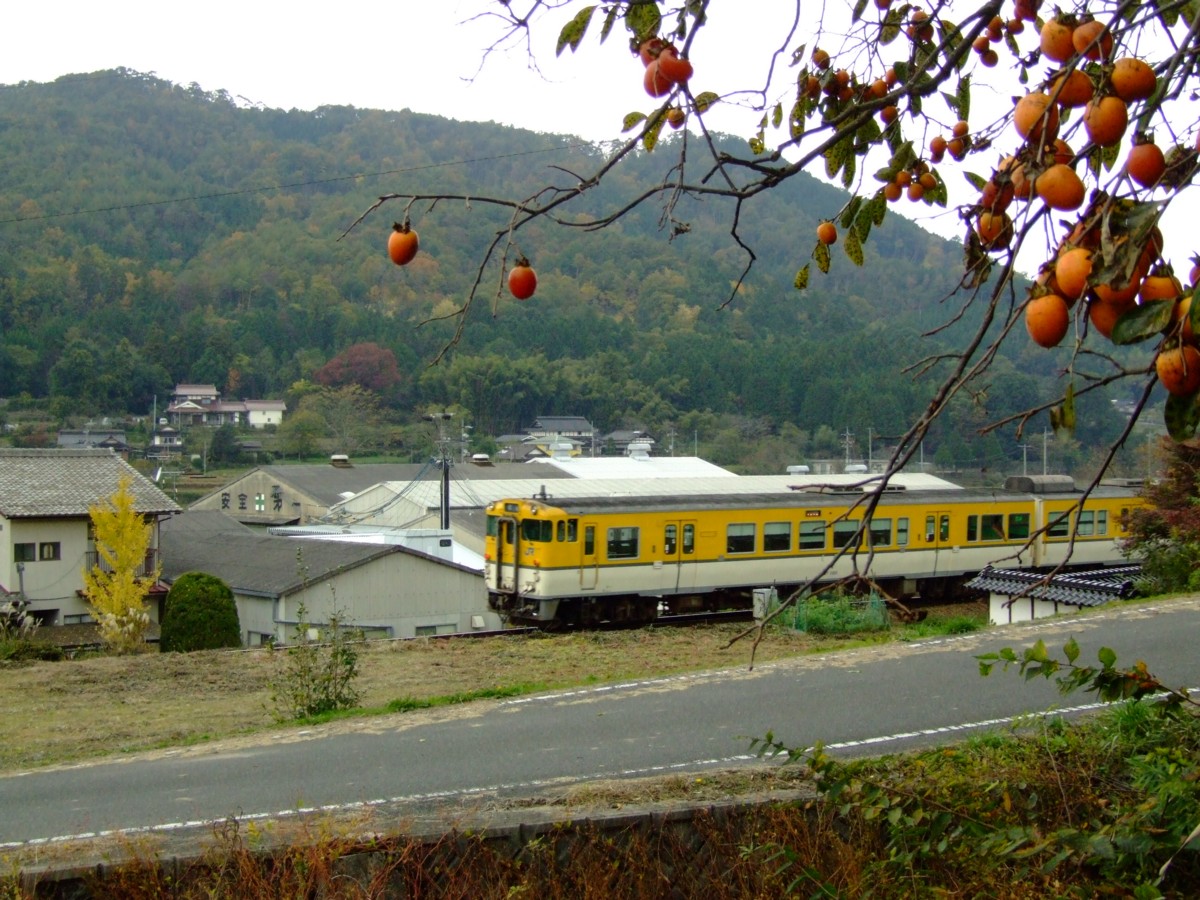撮影・芸備線・向原－吉田口