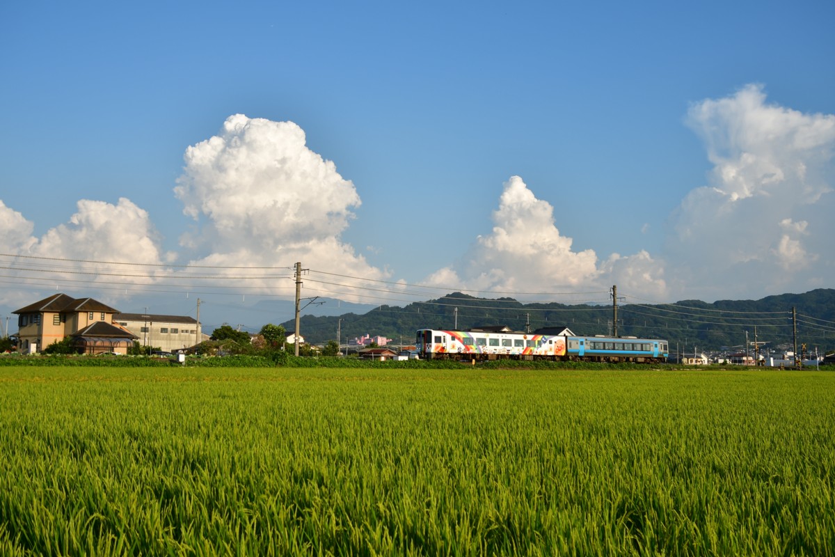 鉄道写真・田園・撮影地：予讃線・市坪－北伊予