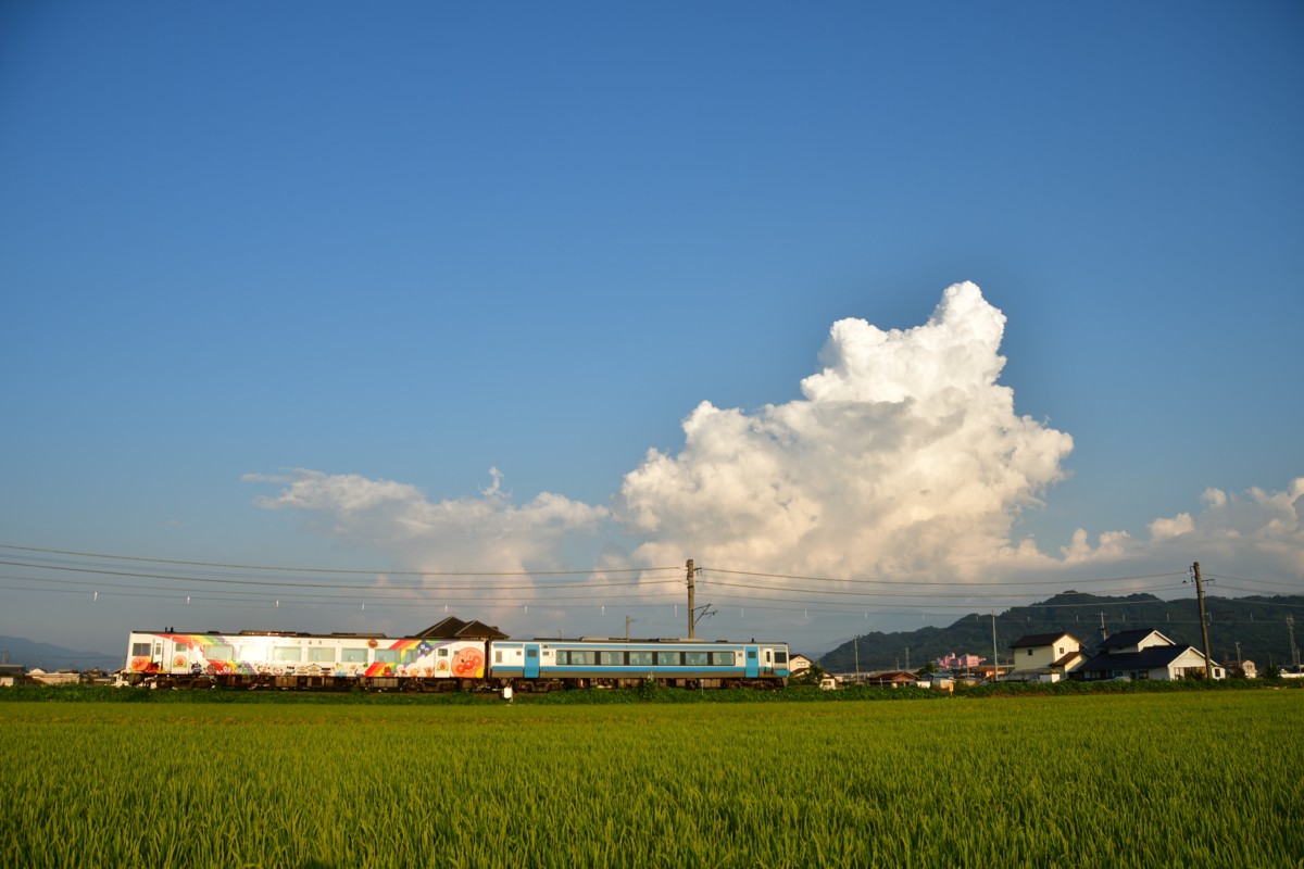 鉄道写真・田園・撮影地：予讃線・市坪－北伊予