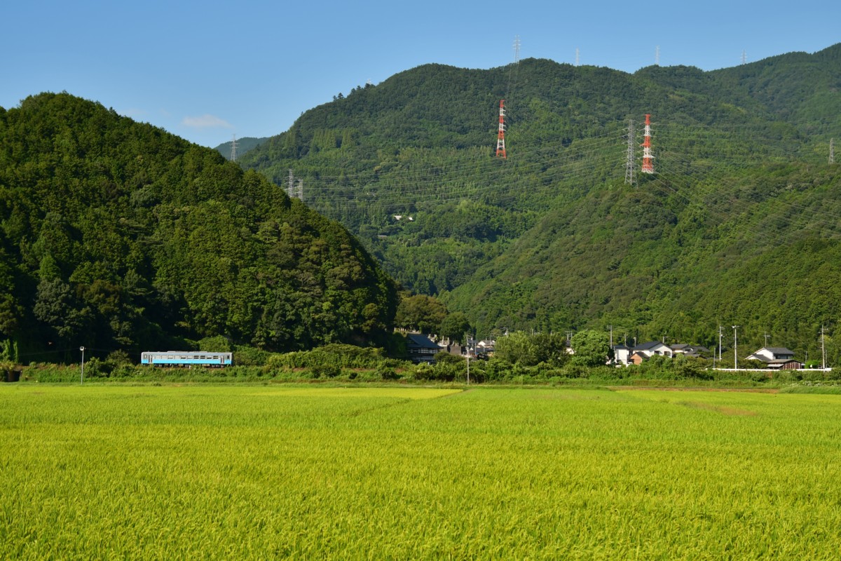 鉄道写真・田園・撮影地：予讃線・春賀