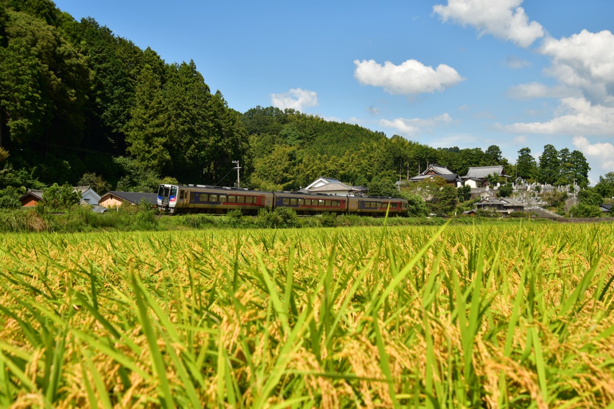 鉄道写真・田園・撮影地：予讃線・西大洲－伊予平野